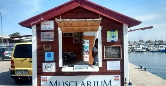 Badia Fitness en Sant Carles de la Ràpita