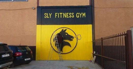 Sly Fitness Gym en La Carlota