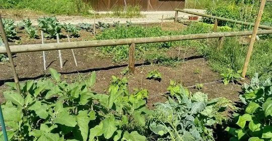 Huertos Urbanos Pancar en Llanes