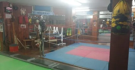 Mantonia Boxing, Muay Thai & Gym en Alcúdia