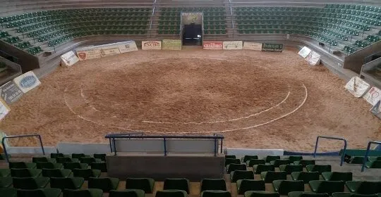 Terrero Insular Mencey Tegueste en Tegueste