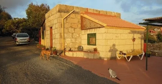 Centro de Buceo - Chuchos Chachis en Arico