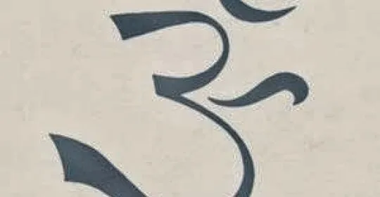 Asociación para una vida Natural en Grado