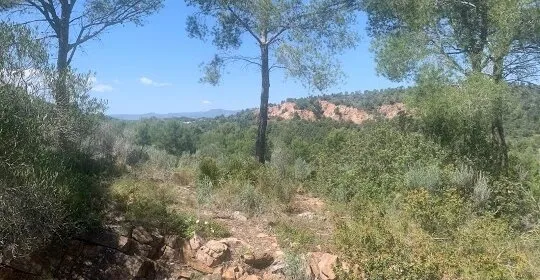 Cami Pintor Rodanes en Vilamarxant