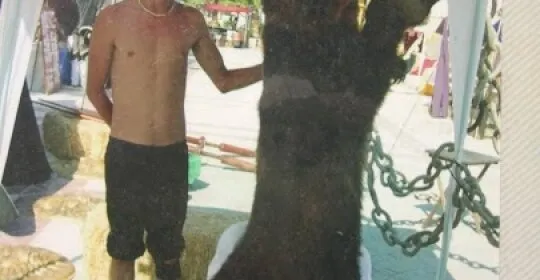 Gimnasio Toa en Avilés