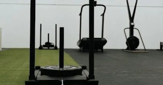 Mo?ov -- Fitness for life en Donostia / San Sebastián