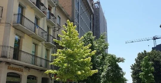 Lluis Training en Girona