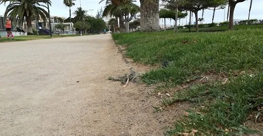Alberto Rodríguez Entrenador Personal y Grupal Las Palmas en Las Palmas de Gran Canaria