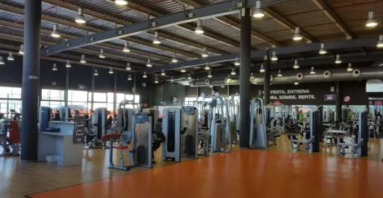 Altafit Gym Club León en León