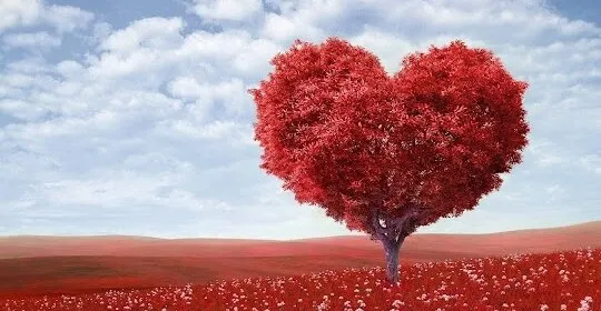 Saludable Coach, Alteración conducta alimentaria - Veronica Barja en Ourense