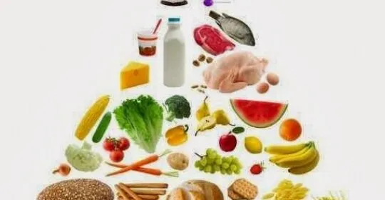 Deporte y nutrición en Oviedo