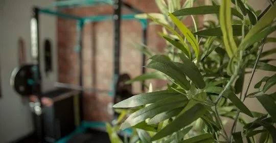 Entrenamiento Personal, Nutrición y Neuroeducación DESENTRÉNATE en Dos Hermanas