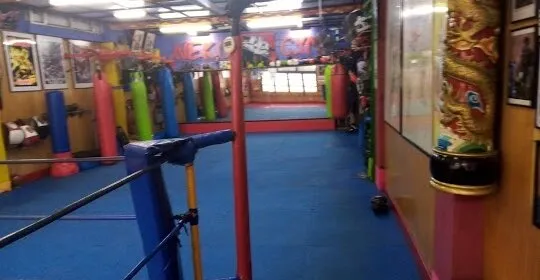 Neko Gym en Getxo